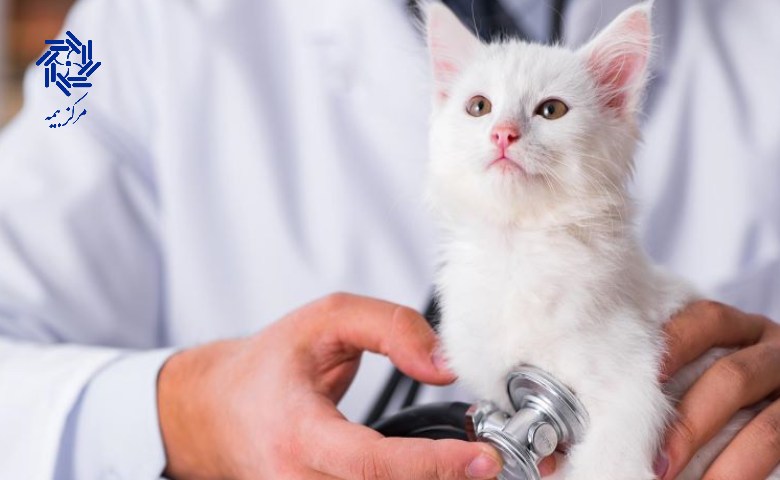 پوشش‌ های بیمه حیوانات خانگی